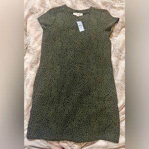 Like New Condition!  Ann Taylor LOFT, Size XS, Brown Knee Length Dress